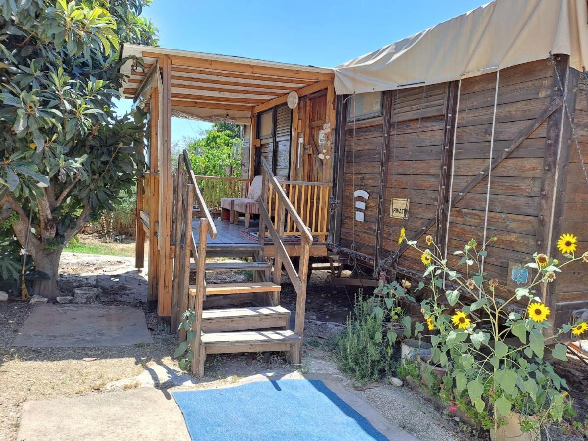 Galilee Bedouin Camplodge Tabash Exterior photo
