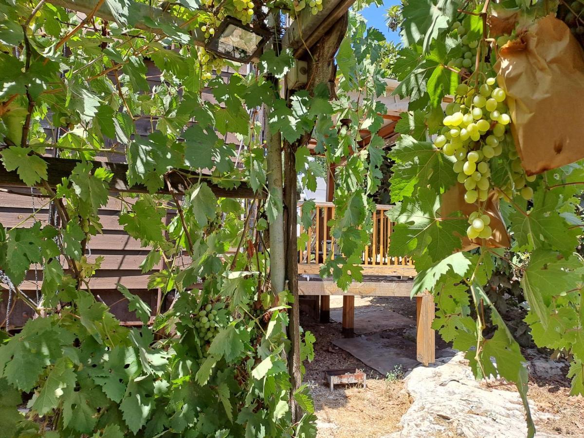 Galilee Bedouin Camplodge Tabash Exterior photo