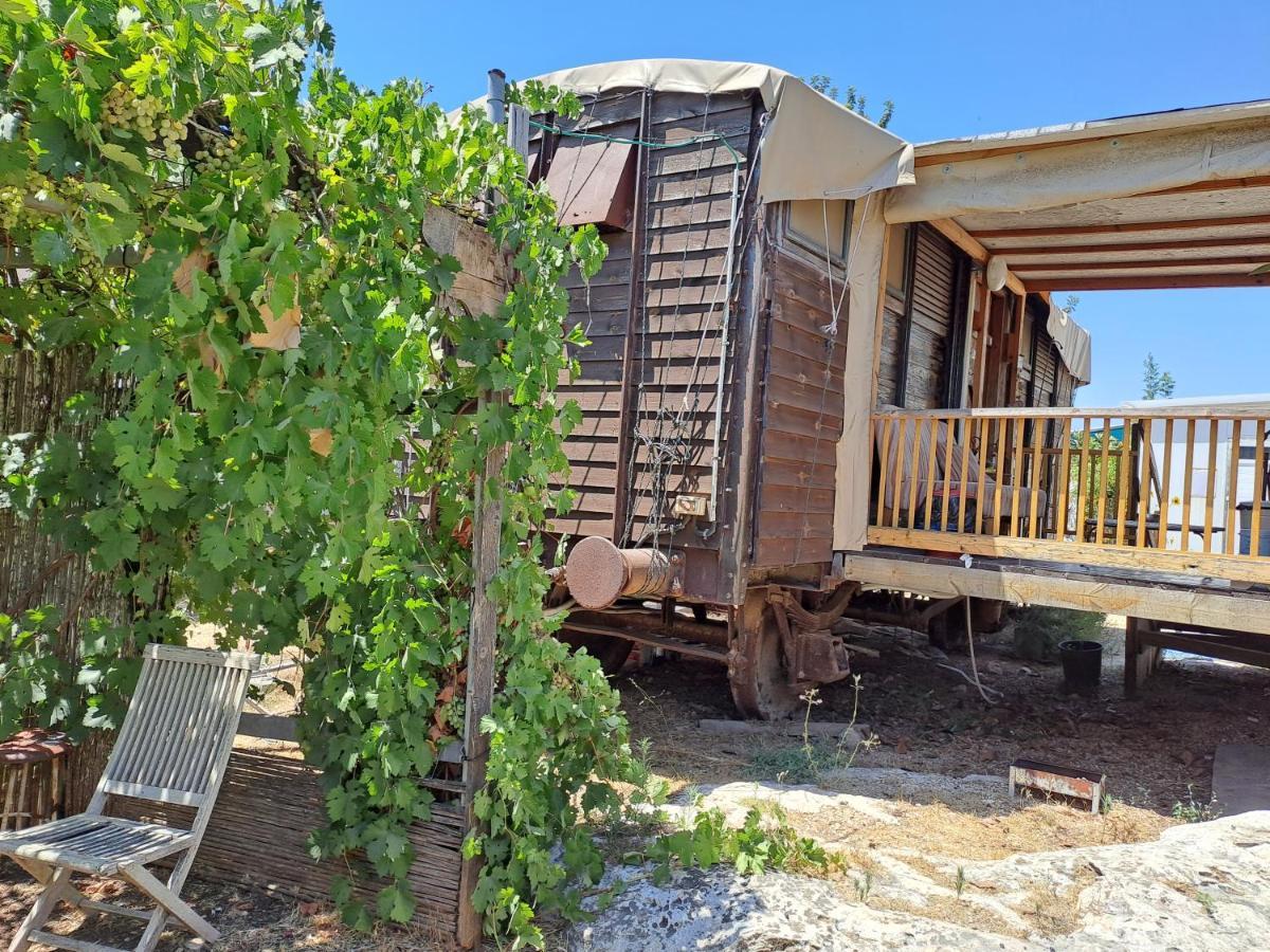 Galilee Bedouin Camplodge Tabash Exterior photo